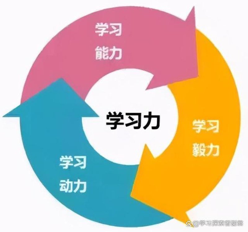 升学规划：你的未来路途导航